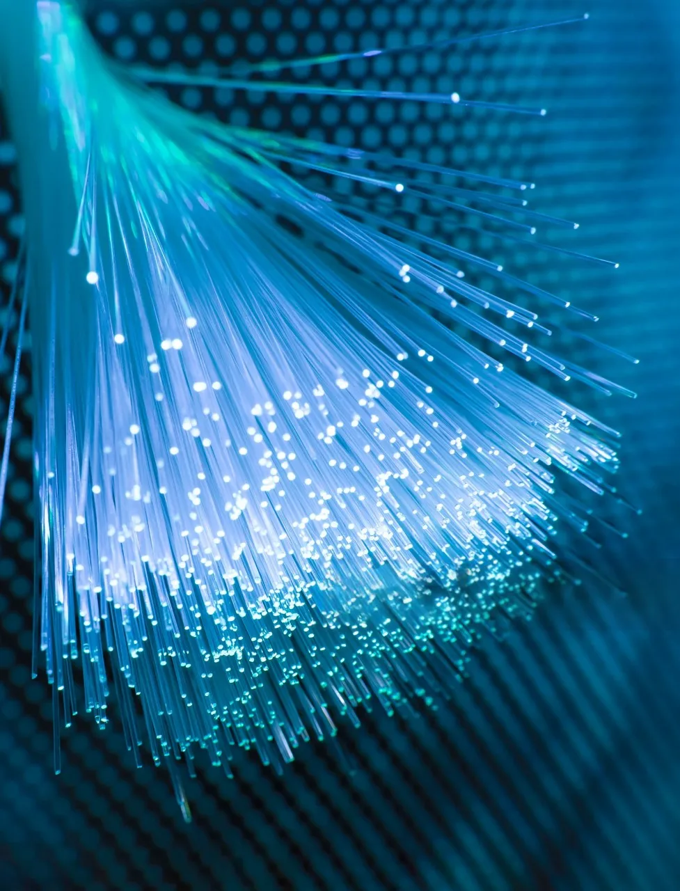 home-image-1 content-image